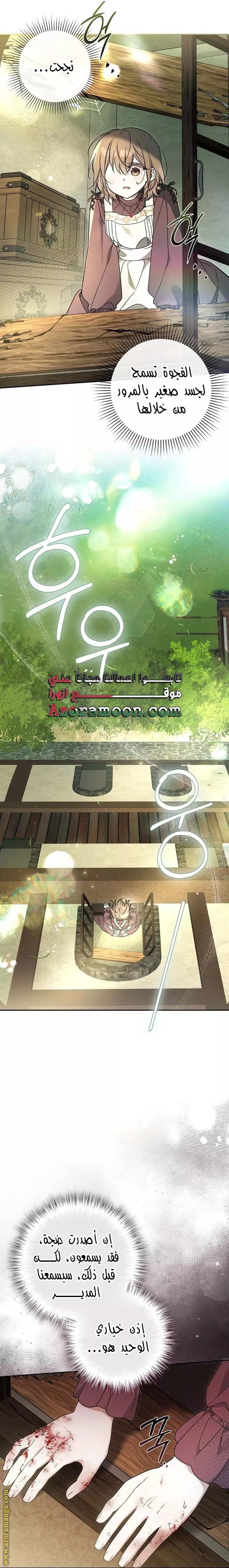 الصفحة 25