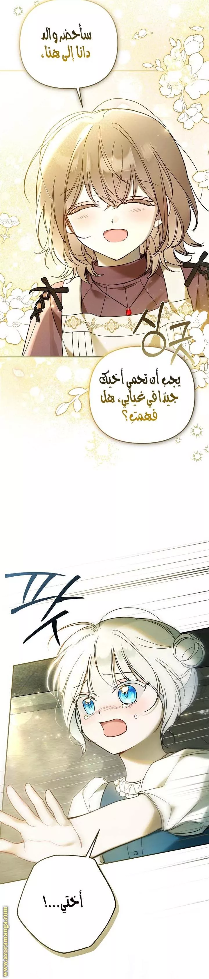 الصفحة 27