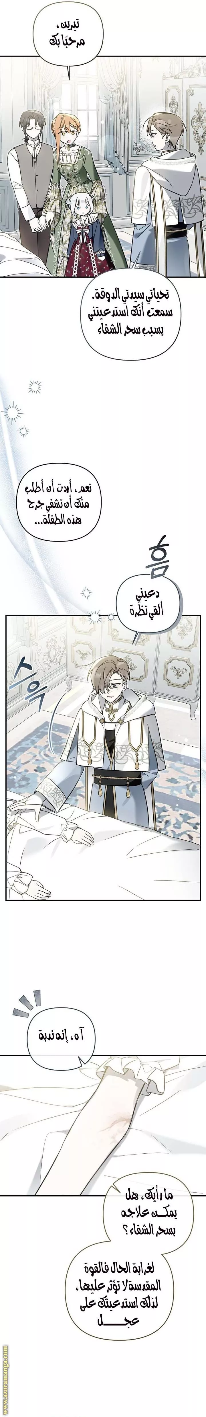 الصفحة 13