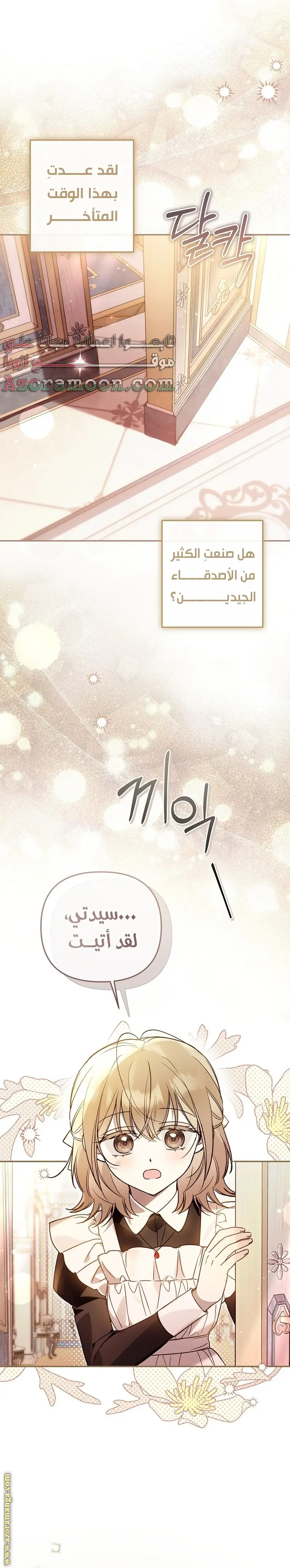 الصفحة 17