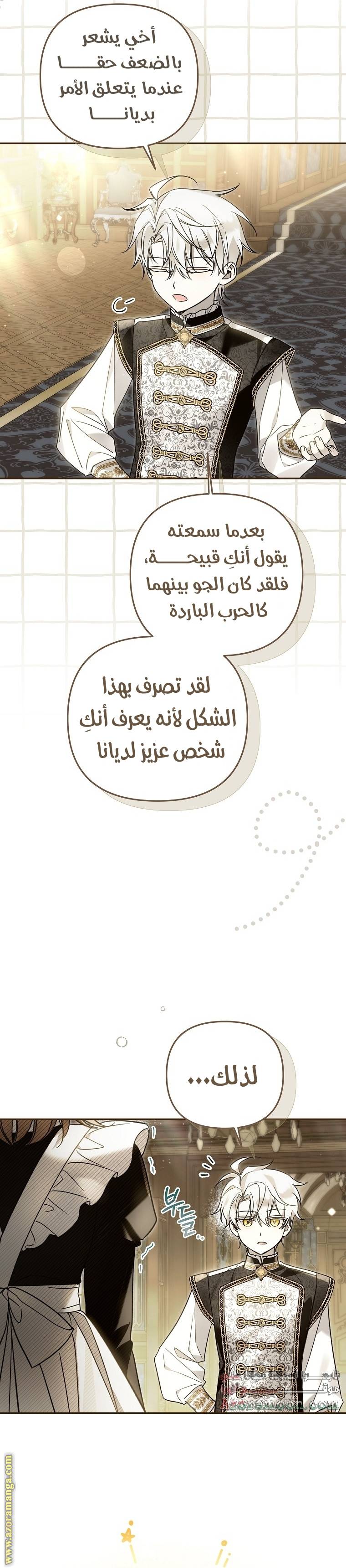 الصفحة 17