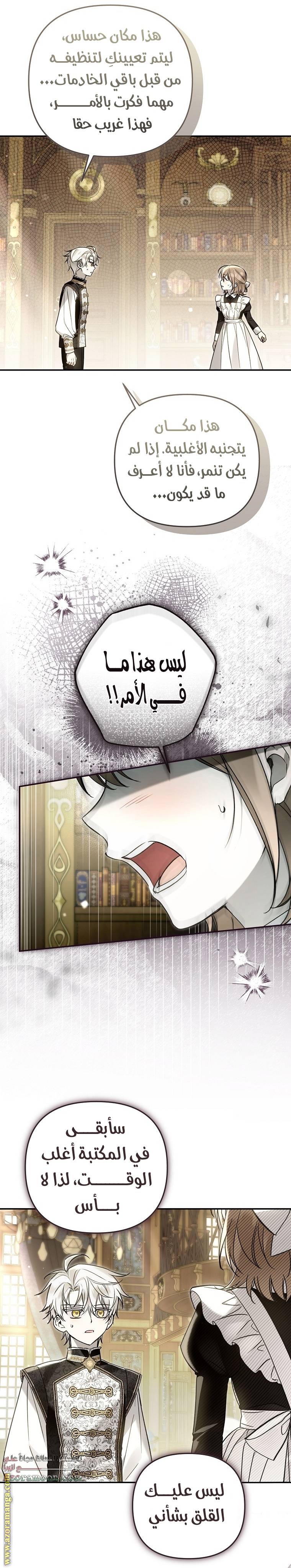 الصفحة 21