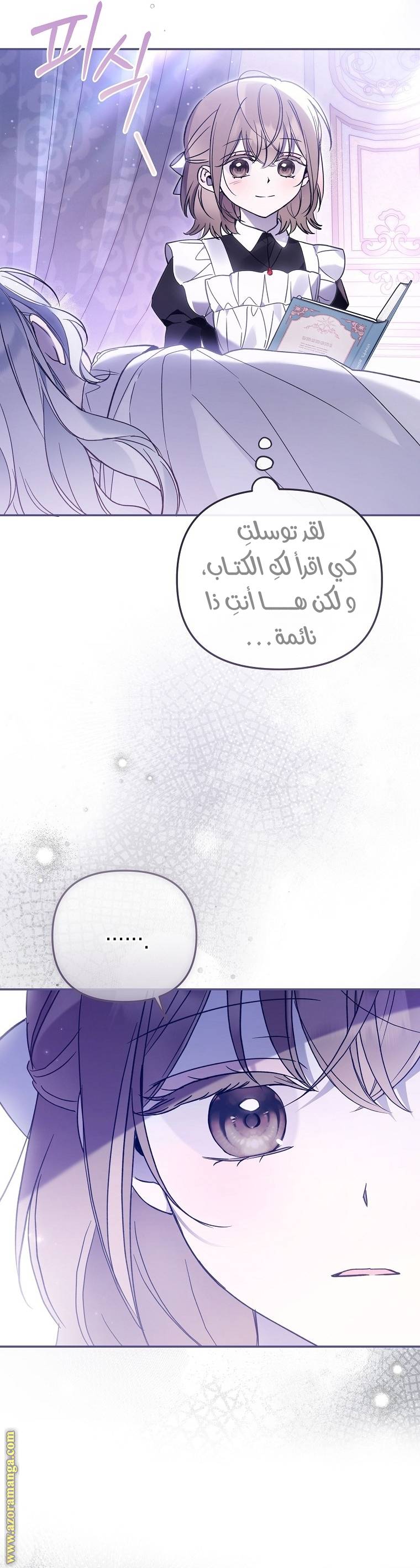 الصفحة 26