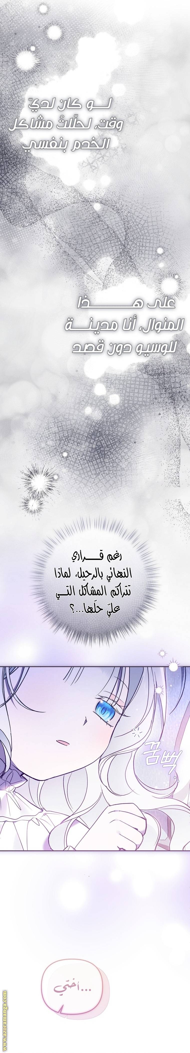 الصفحة 27