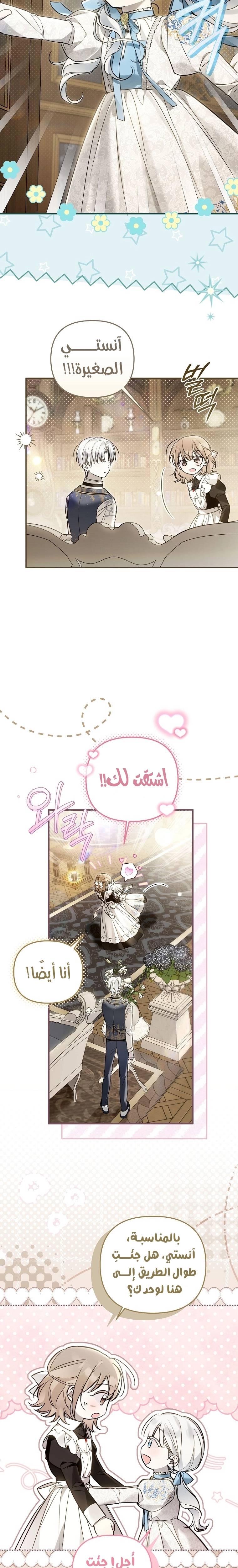 الصفحة 17