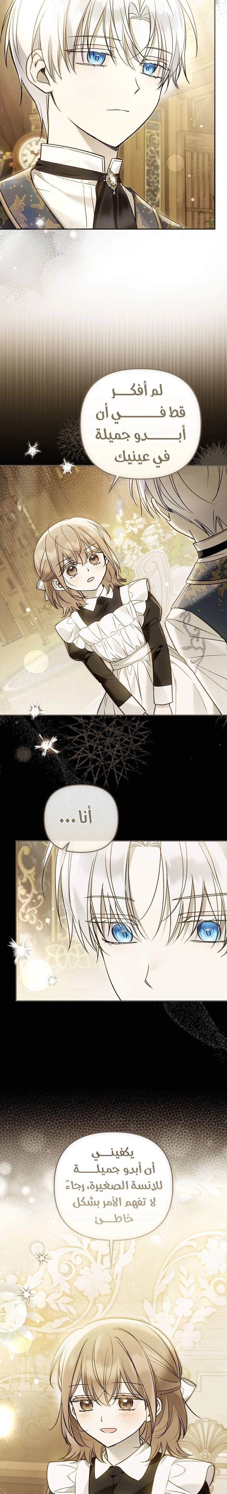 الصفحة 20