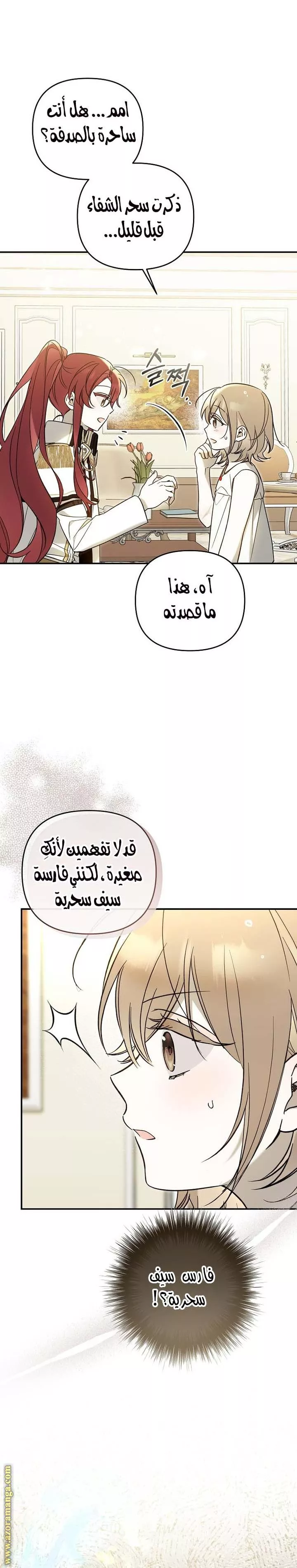 الصفحة 17