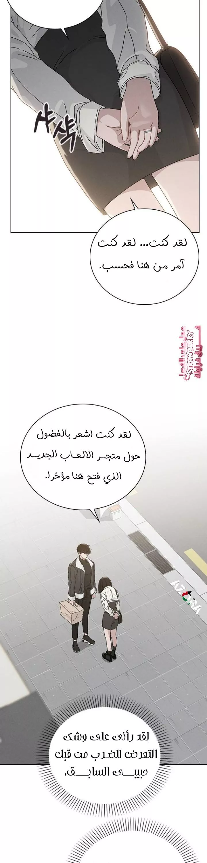 الصفحة 11