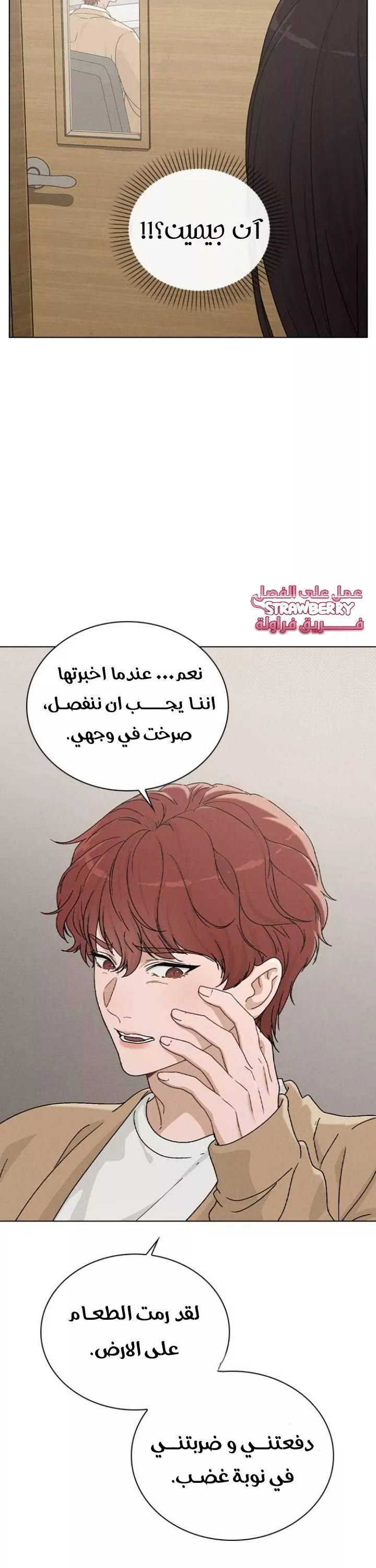 الصفحة 41
