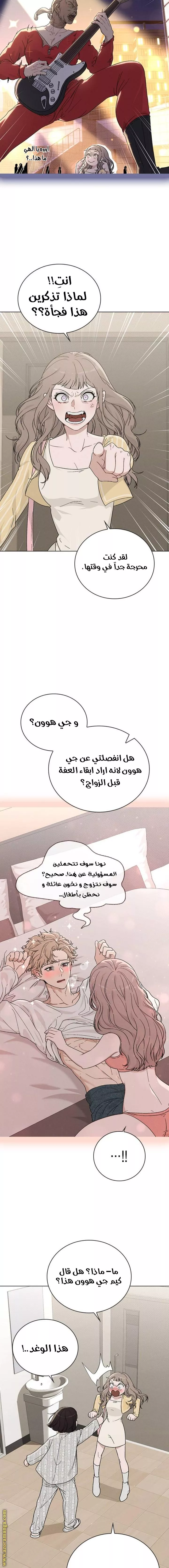 الصفحة 17