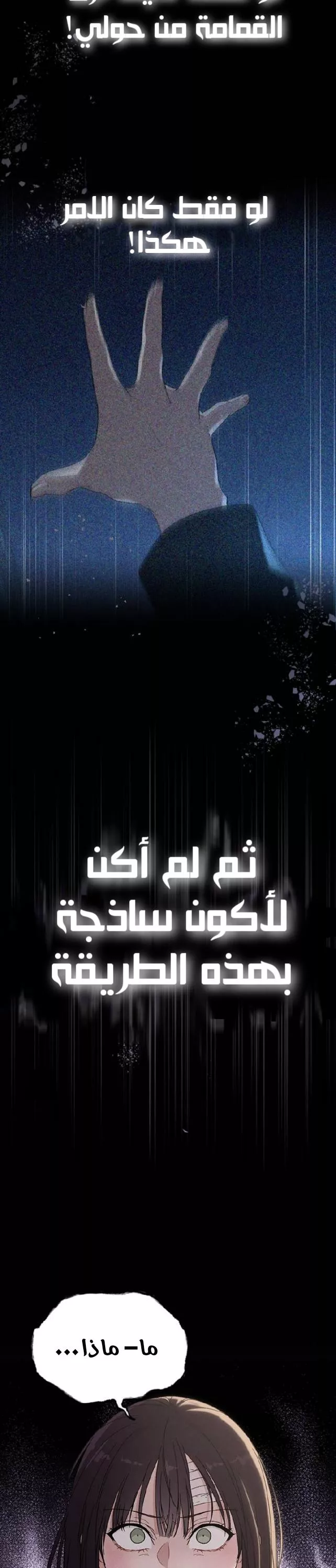 الصفحة 27