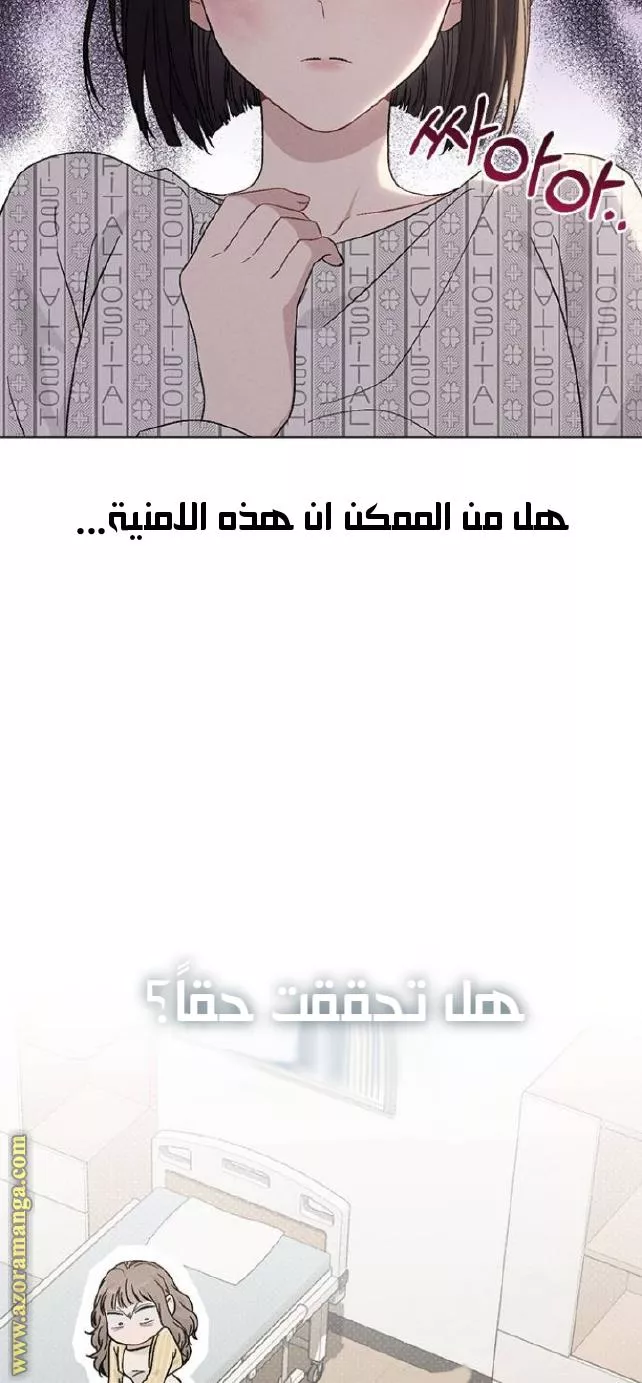 الصفحة 28