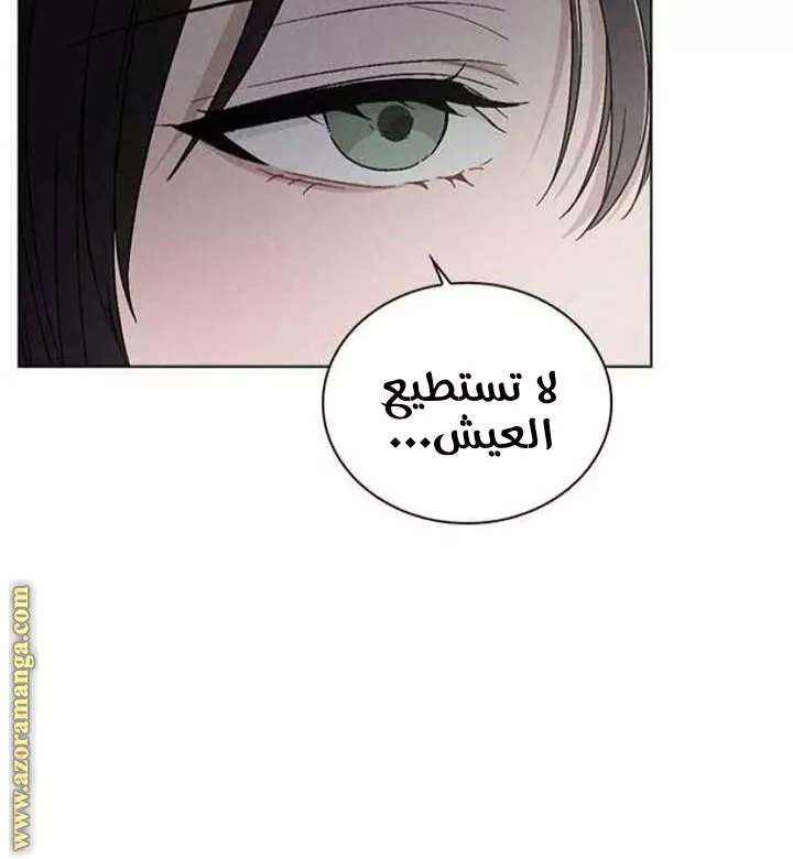 الصفحة 31