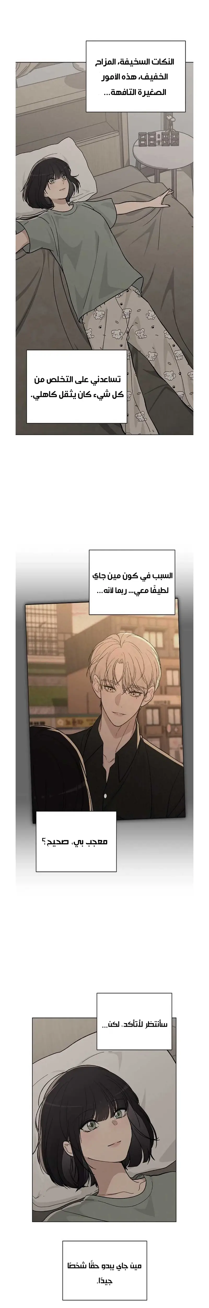 الصفحة 13