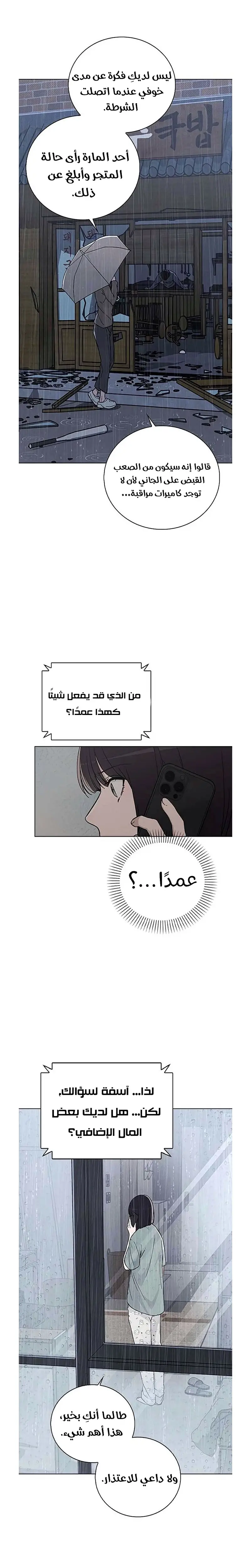 الصفحة 17