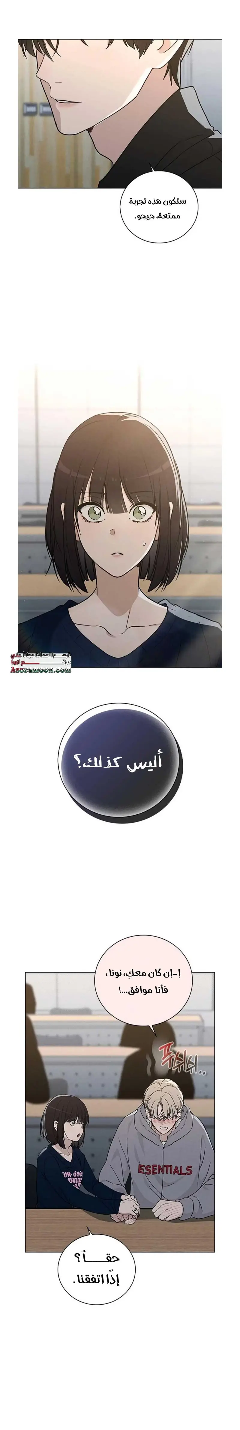الصفحة 29