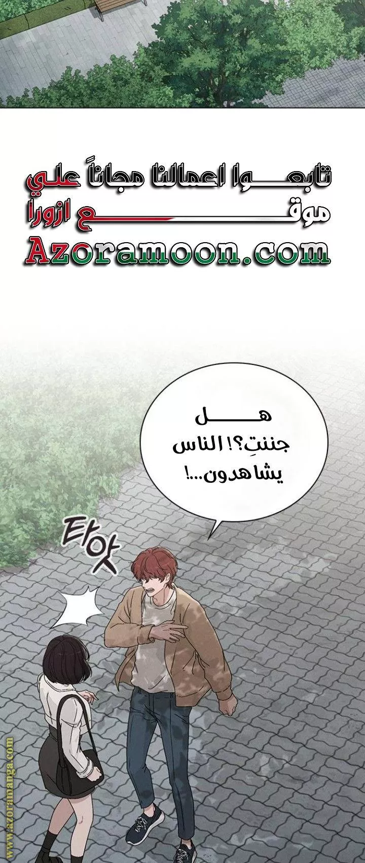 الصفحة 13