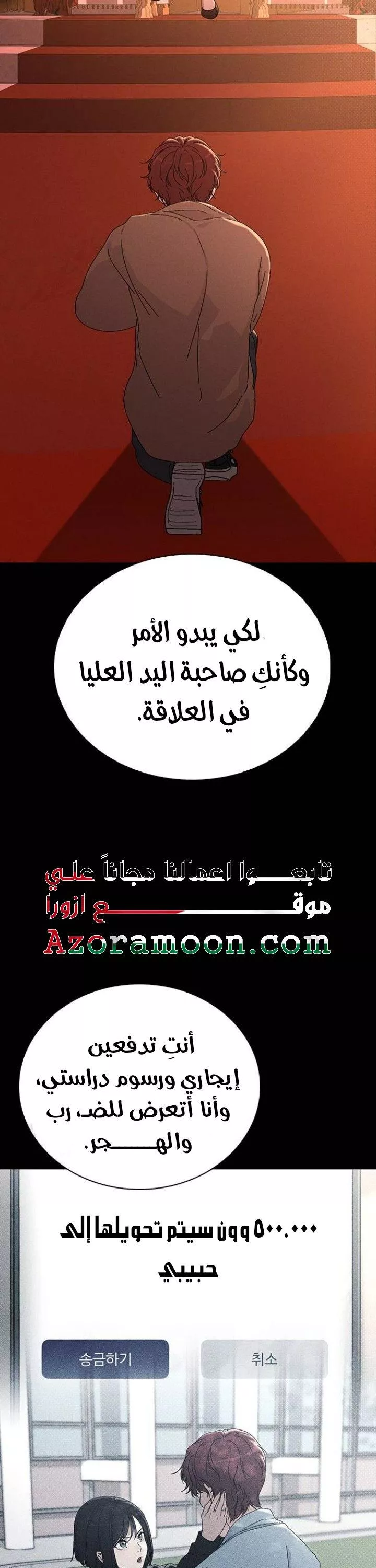الصفحة 17