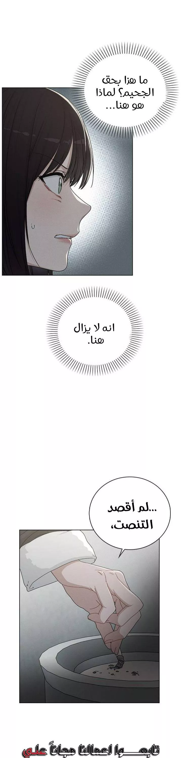 الصفحة 29