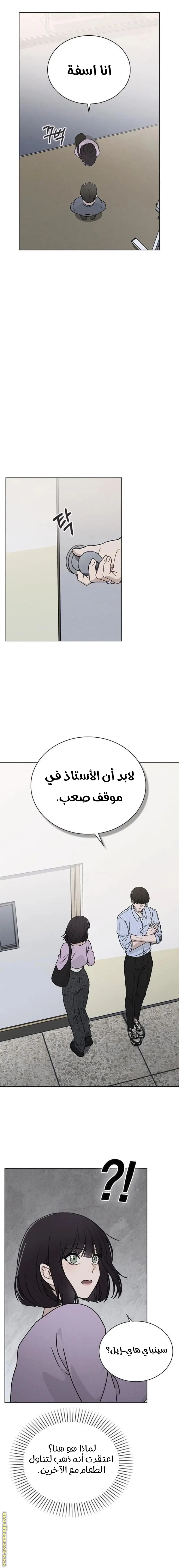 الصفحة 17