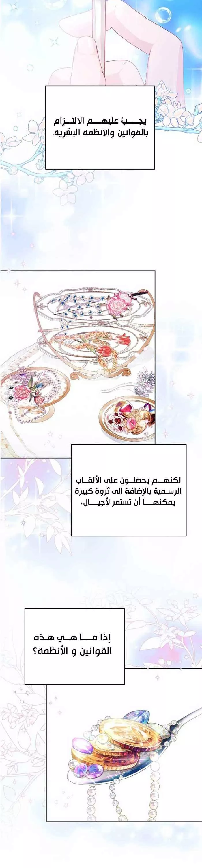 الصفحة 24