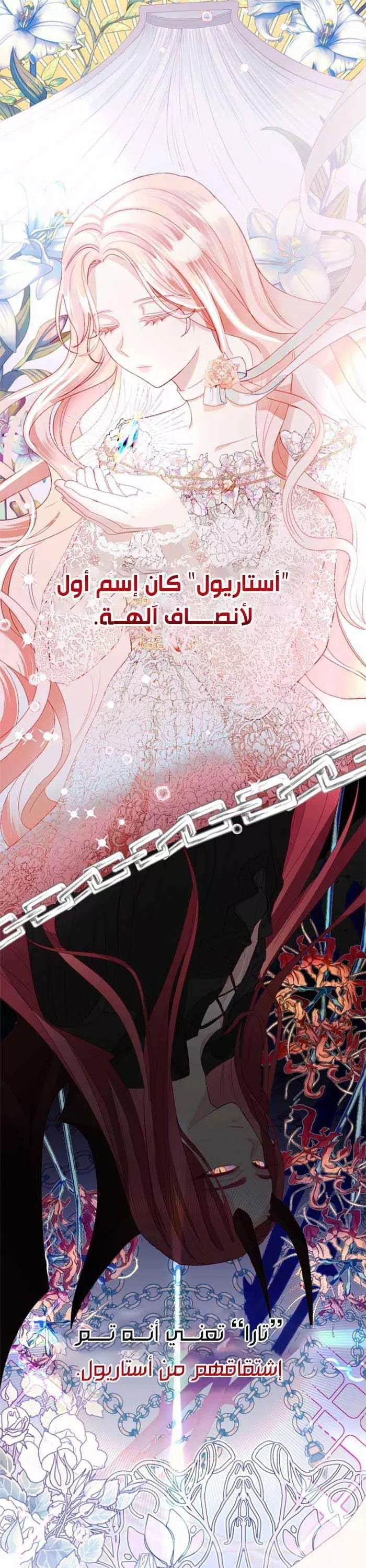 الصفحة 31