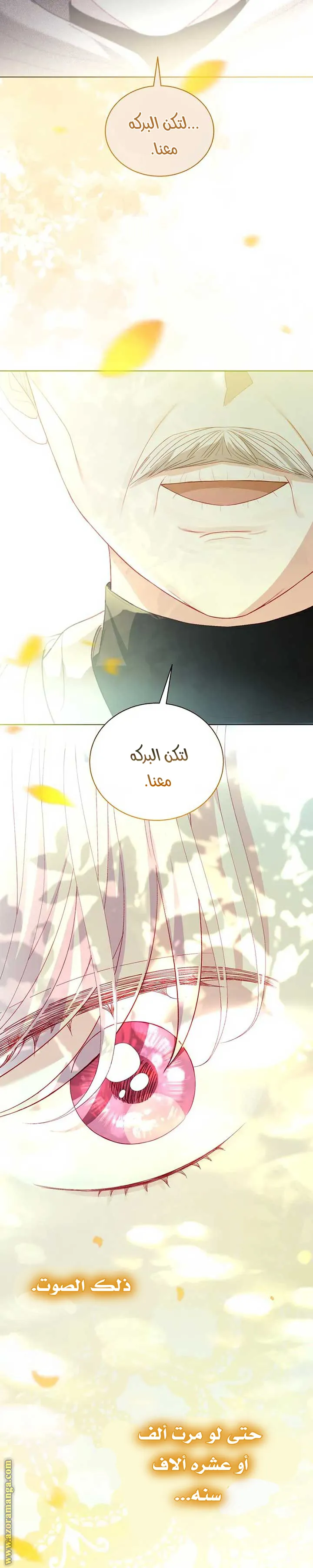 الصفحة 27