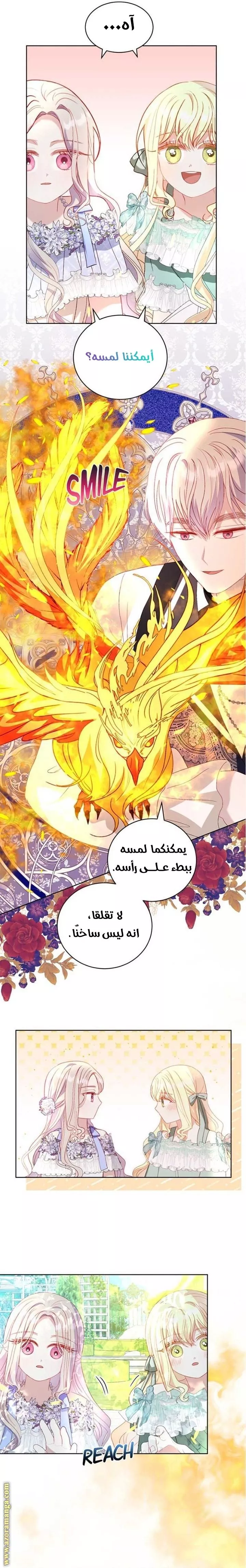 الصفحة 16