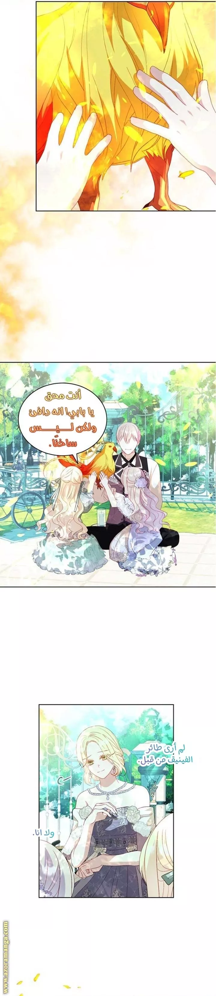 الصفحة 17