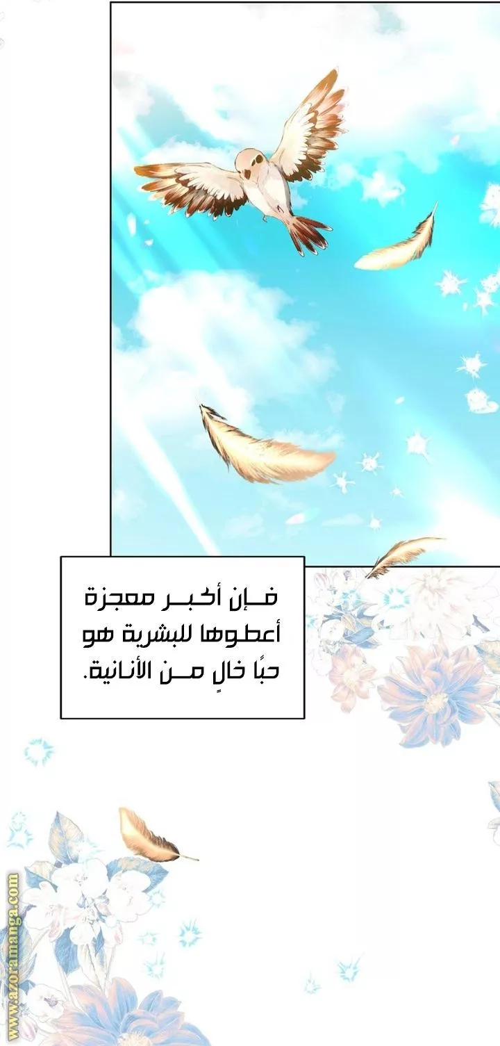 الصفحة 21