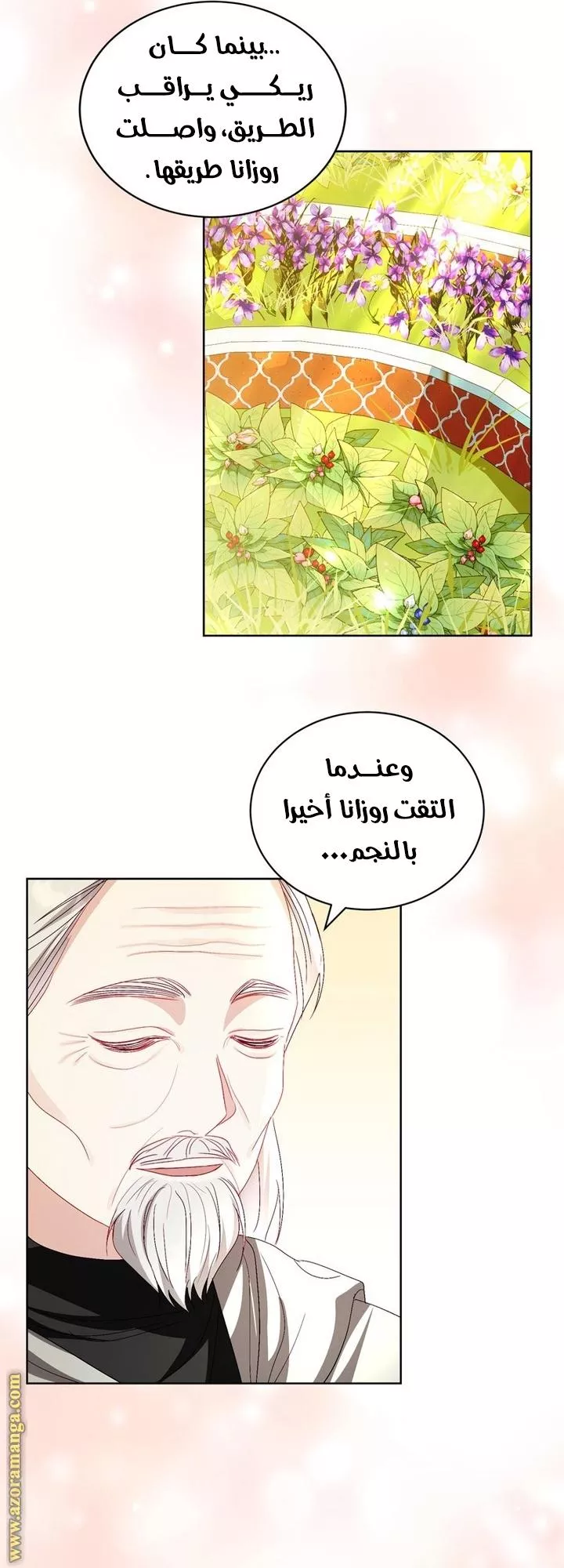 الصفحة 25