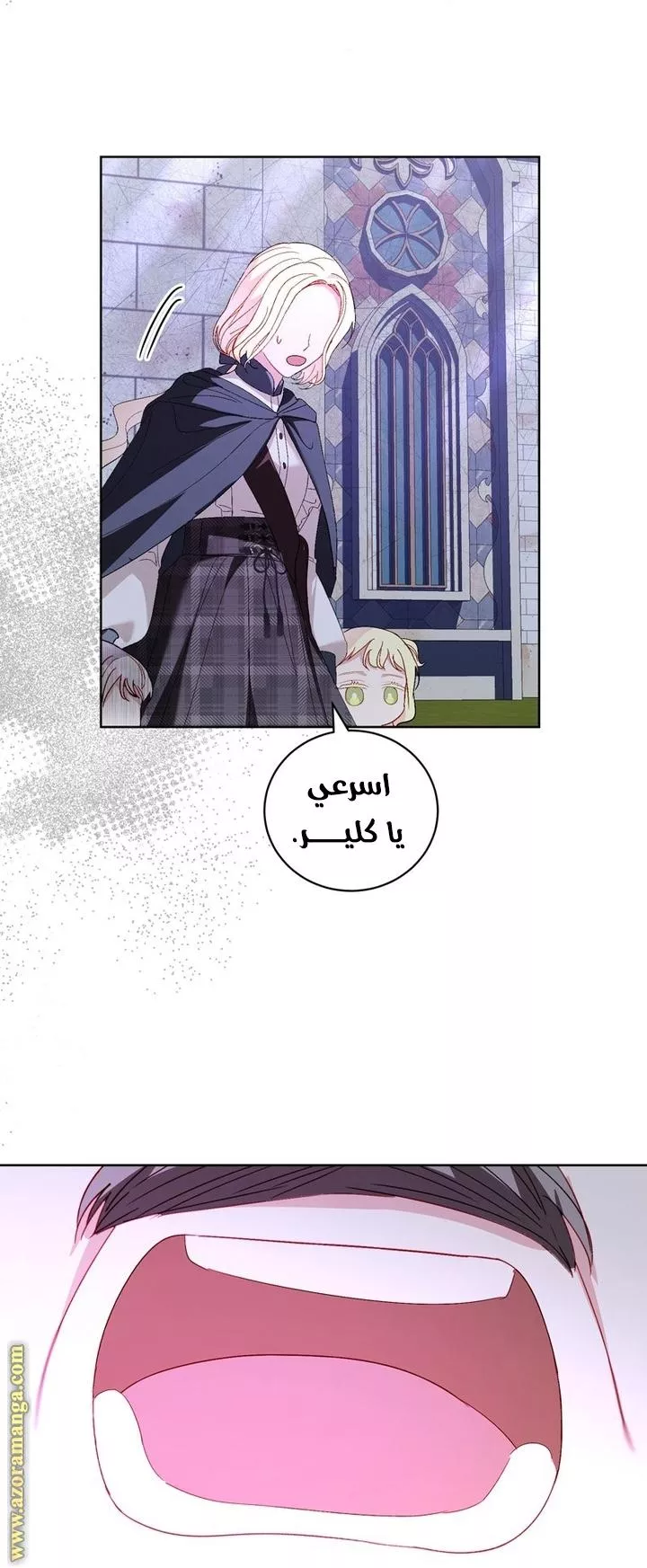 الصفحة 43