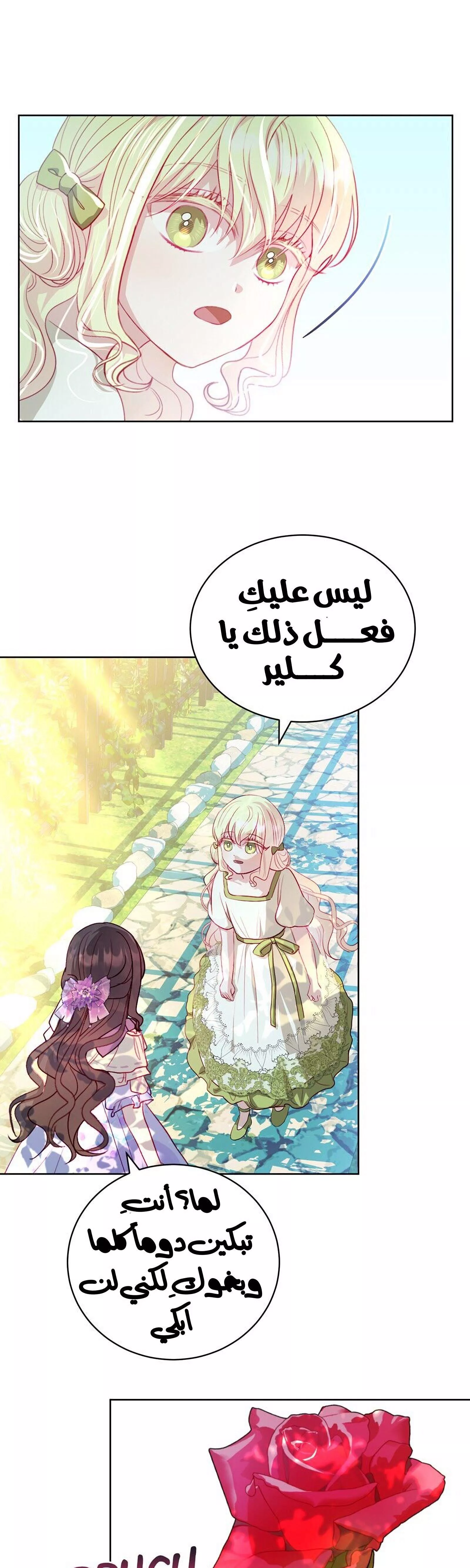 الصفحة 29
