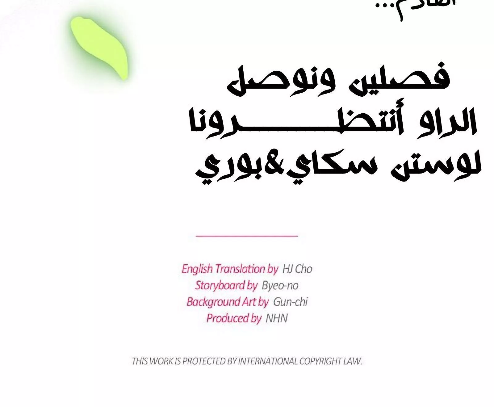 الصفحة 46