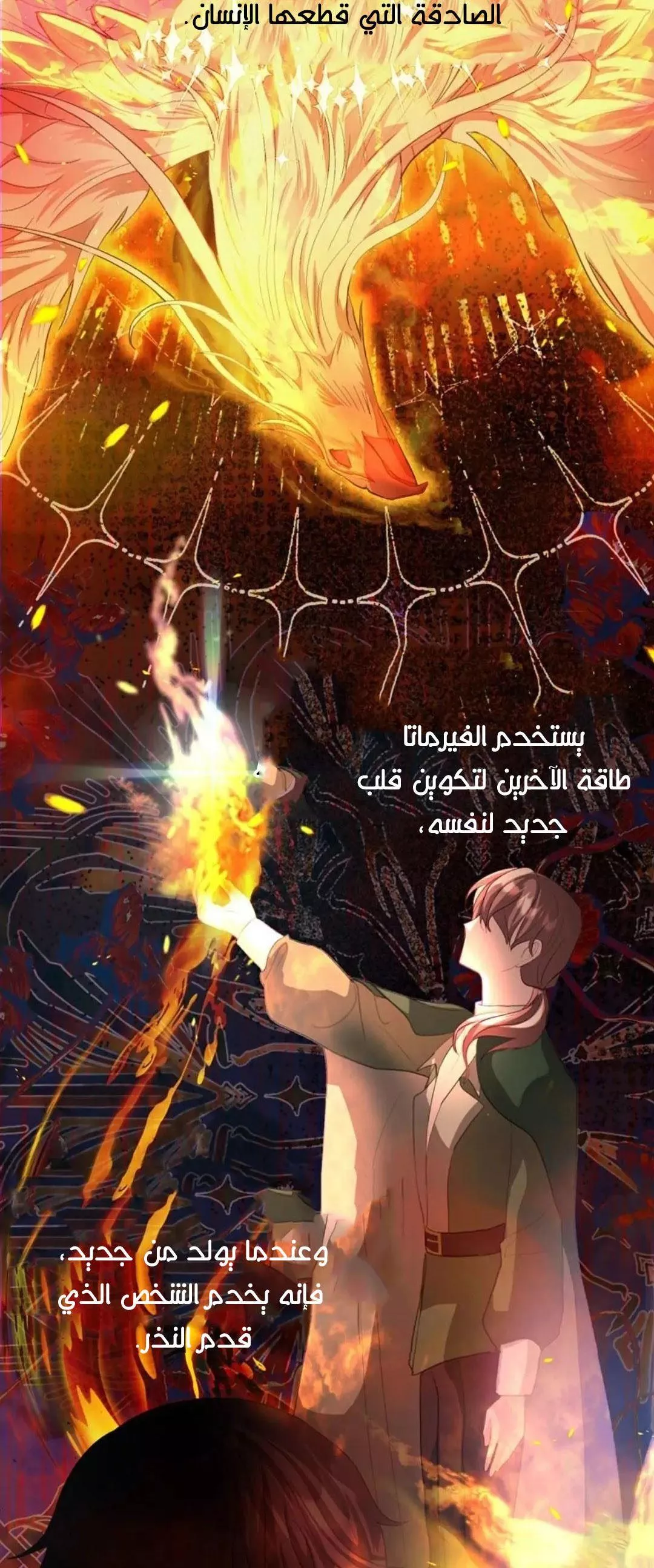 الصفحة 13