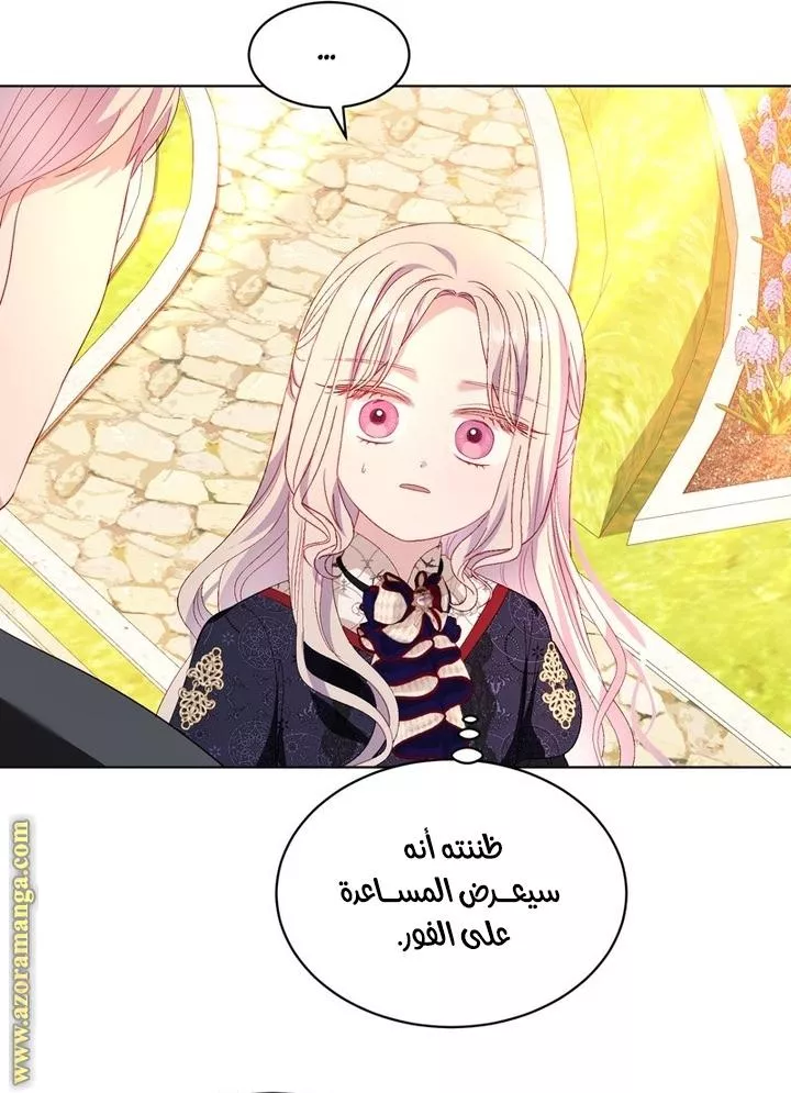 الصفحة 29