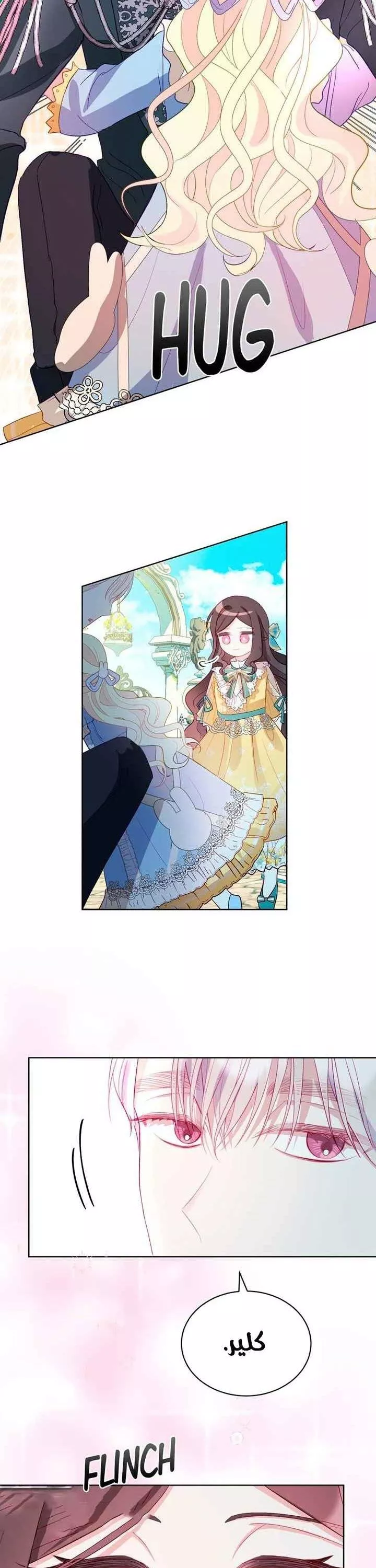 الصفحة 17
