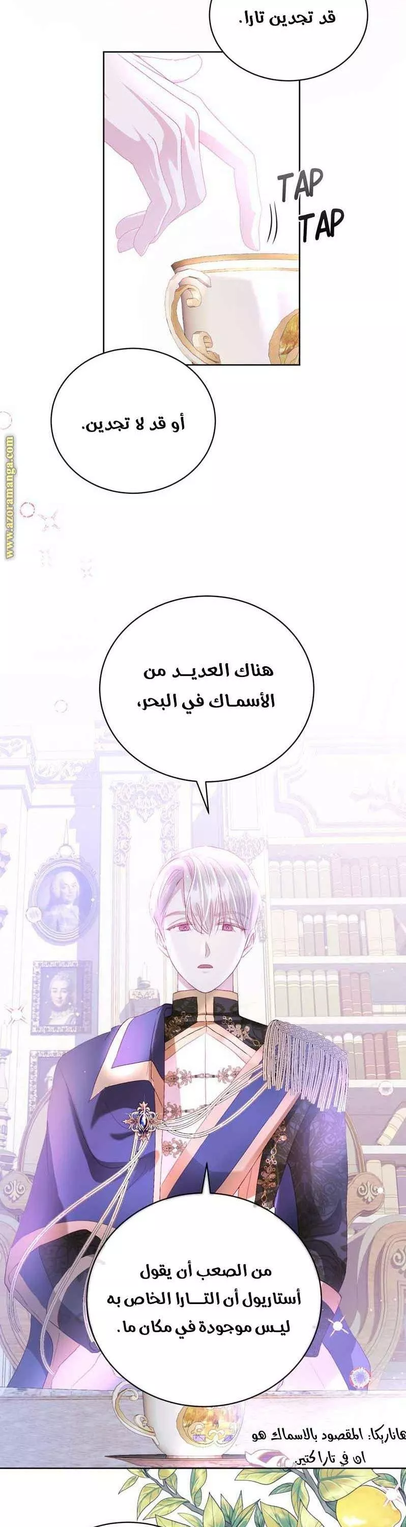 الصفحة 13