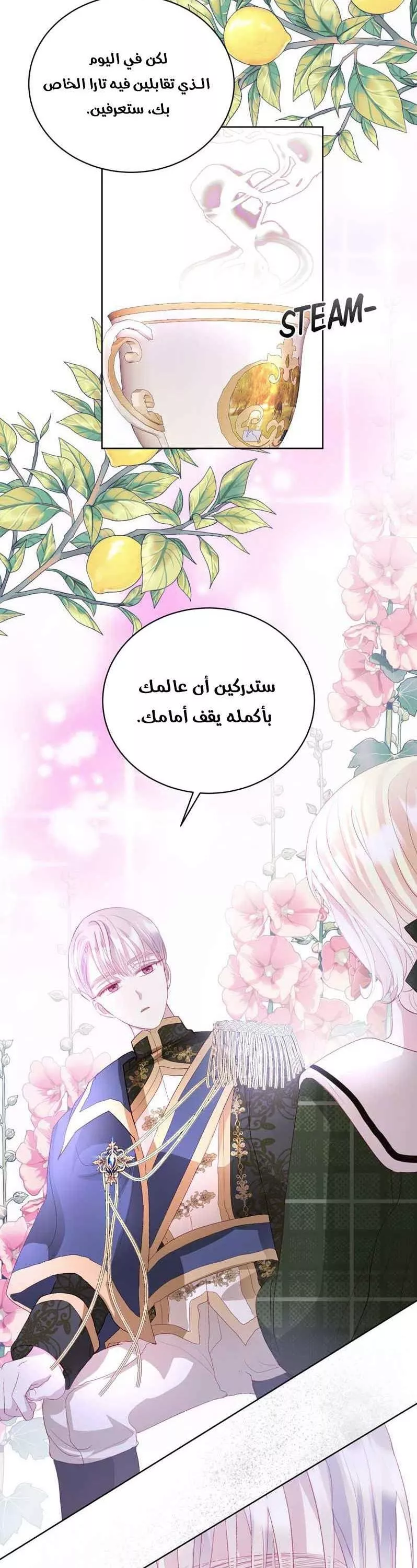 الصفحة 14