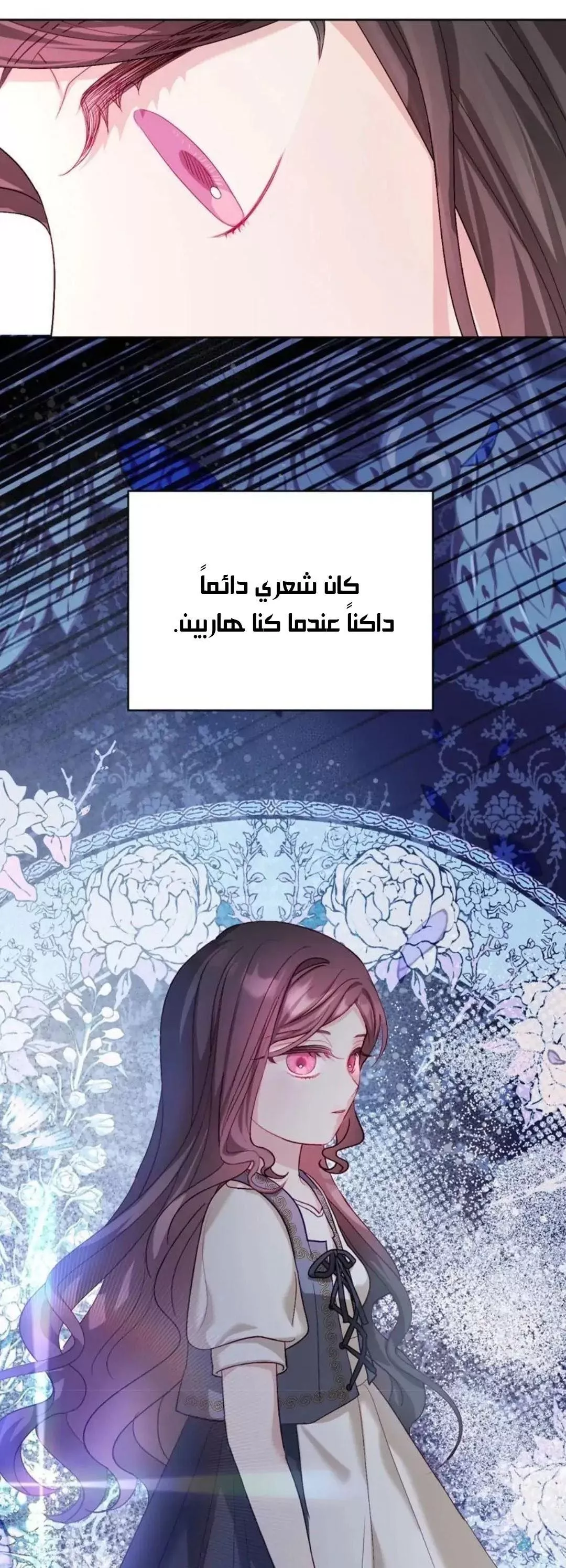 الصفحة 24