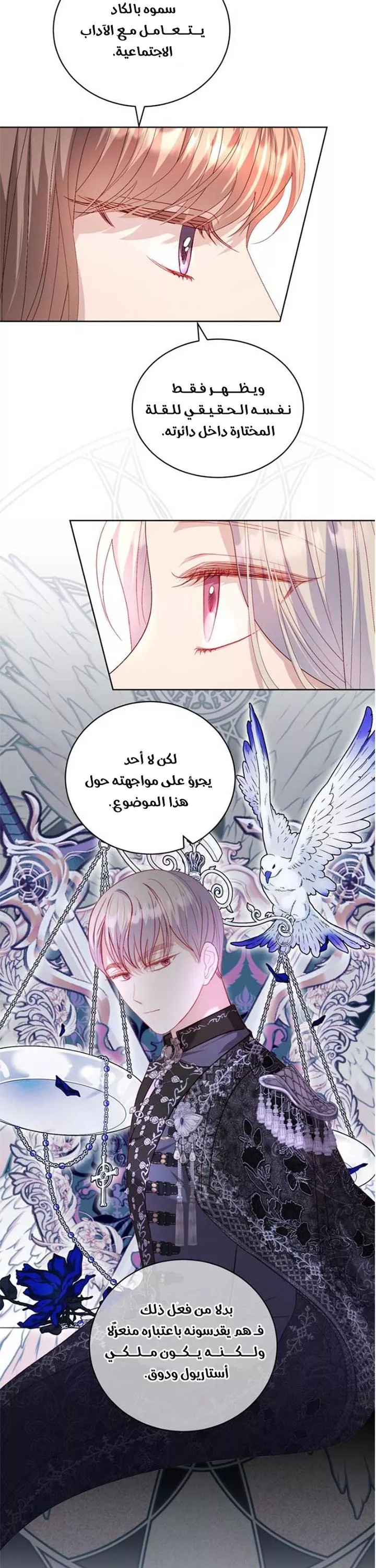 الصفحة 16