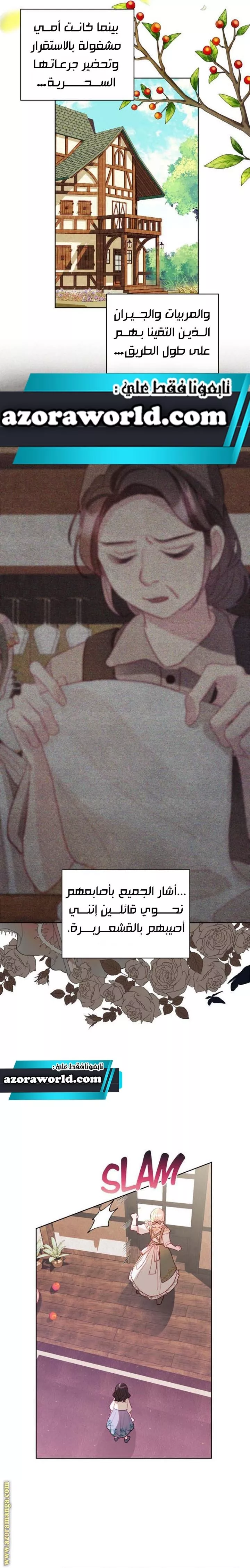 الصفحة 11