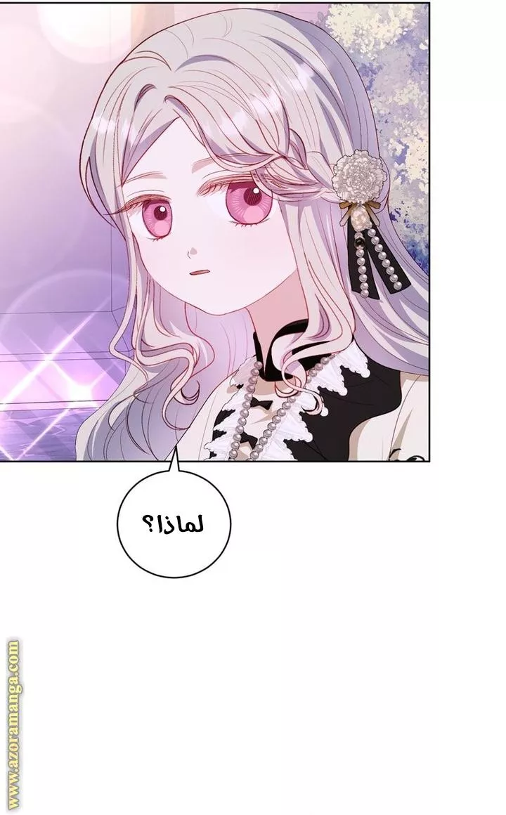 الصفحة 48