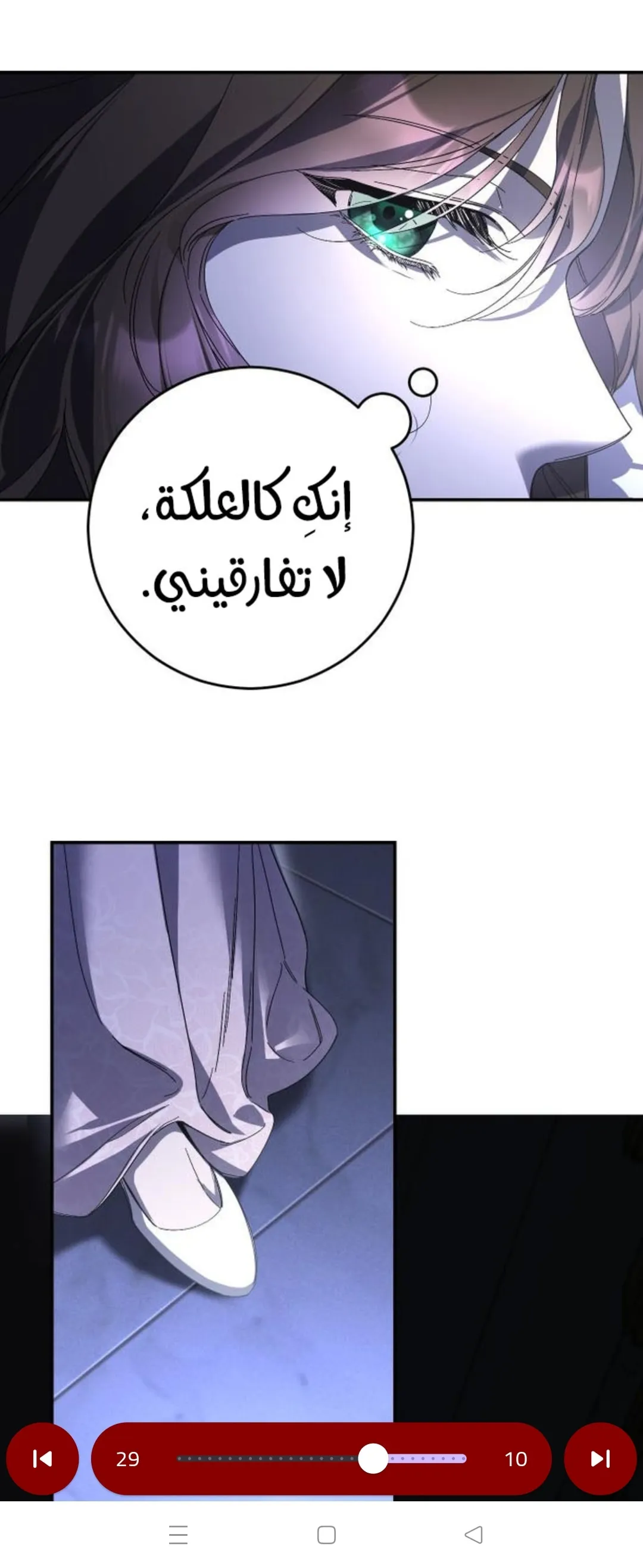 الصفحة 24