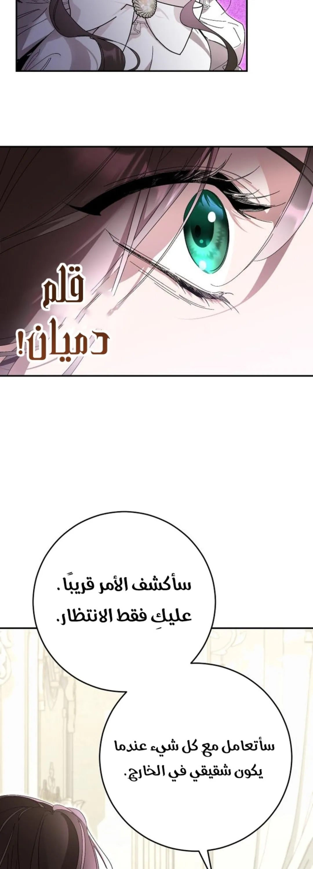 الصفحة 41