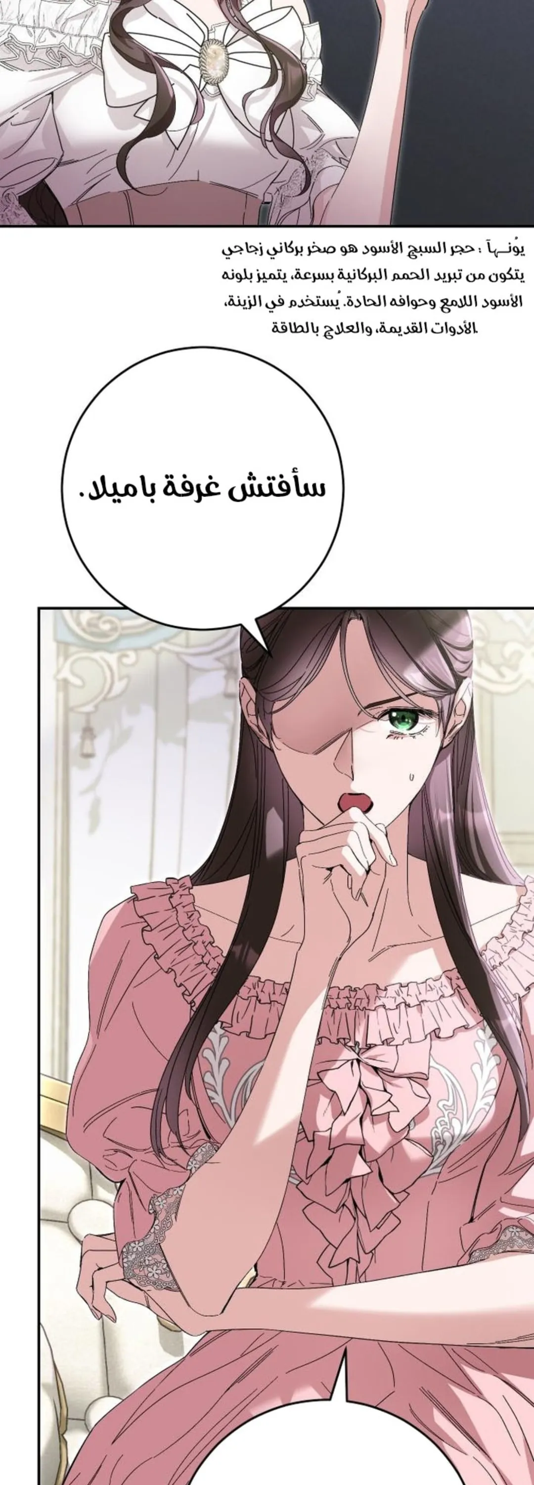الصفحة 48