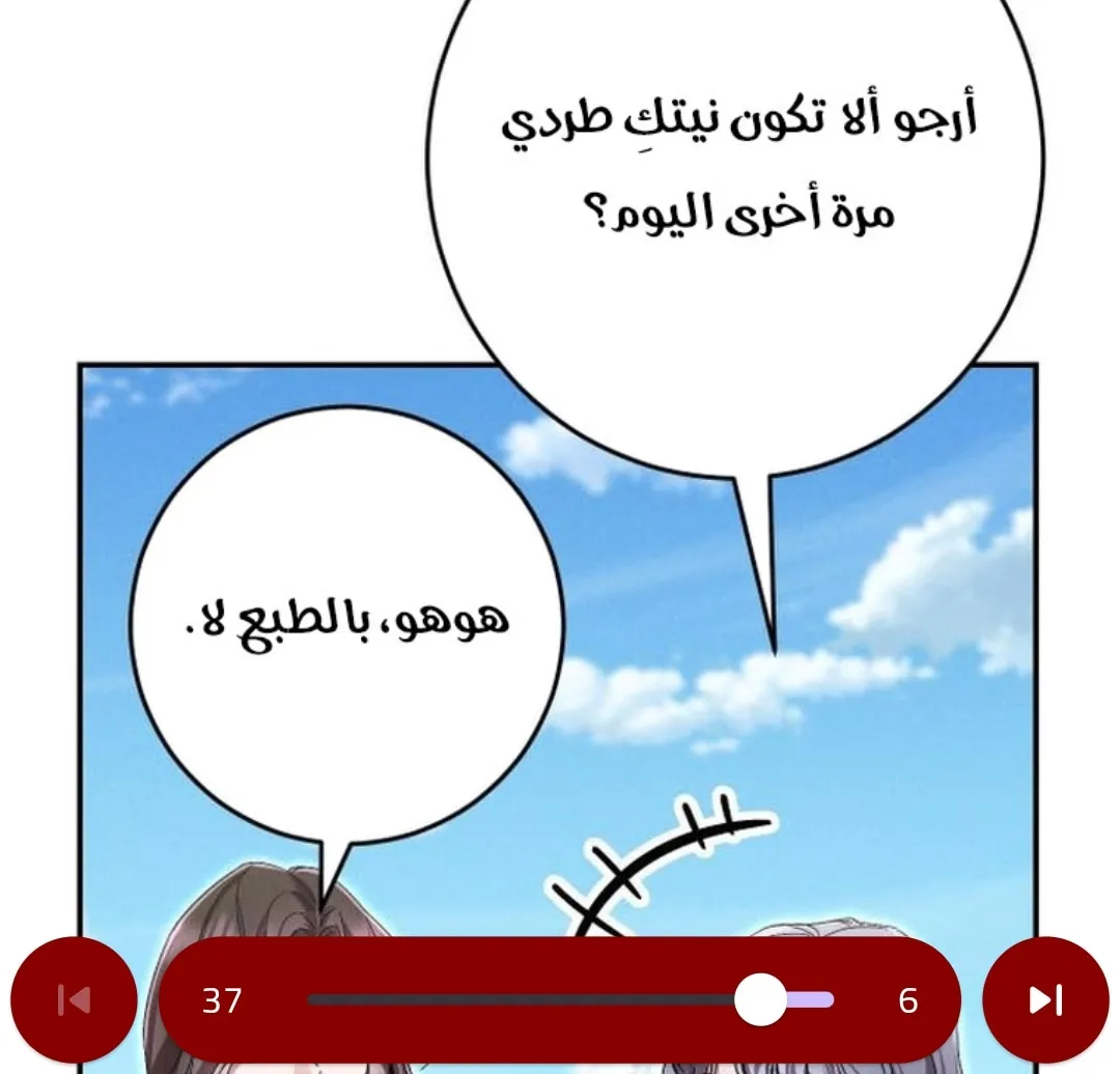 الصفحة 13