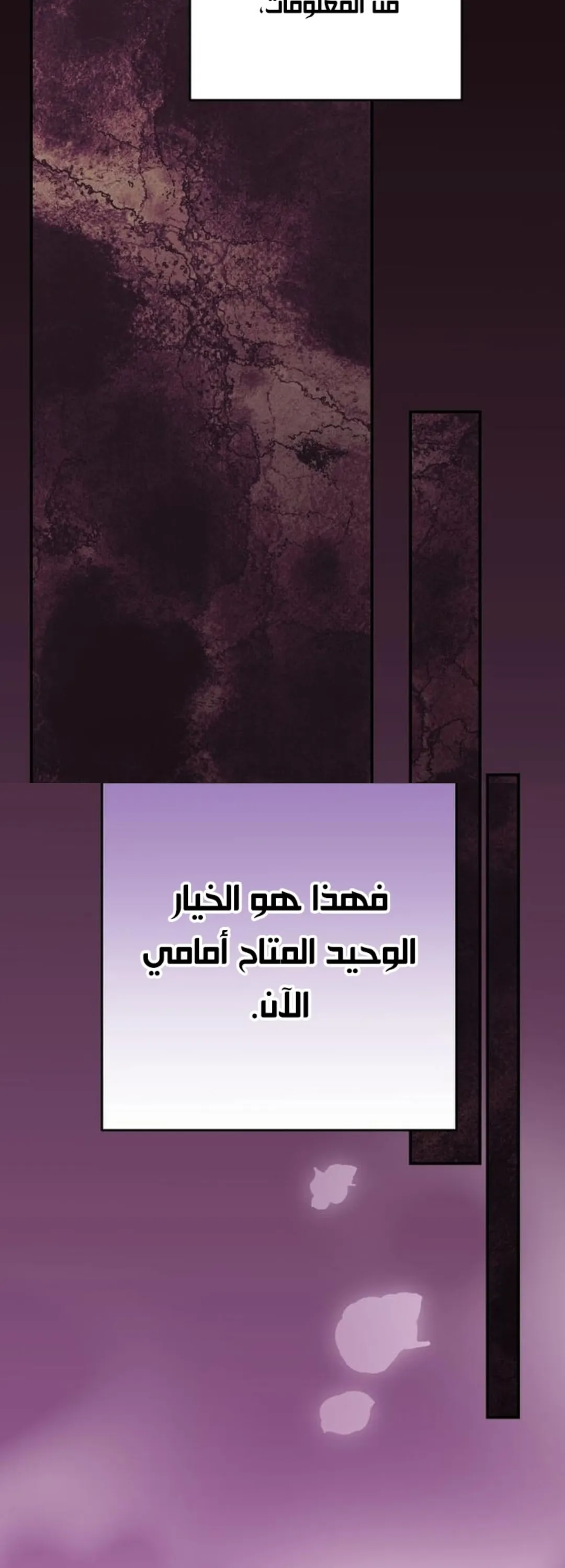 الصفحة 49