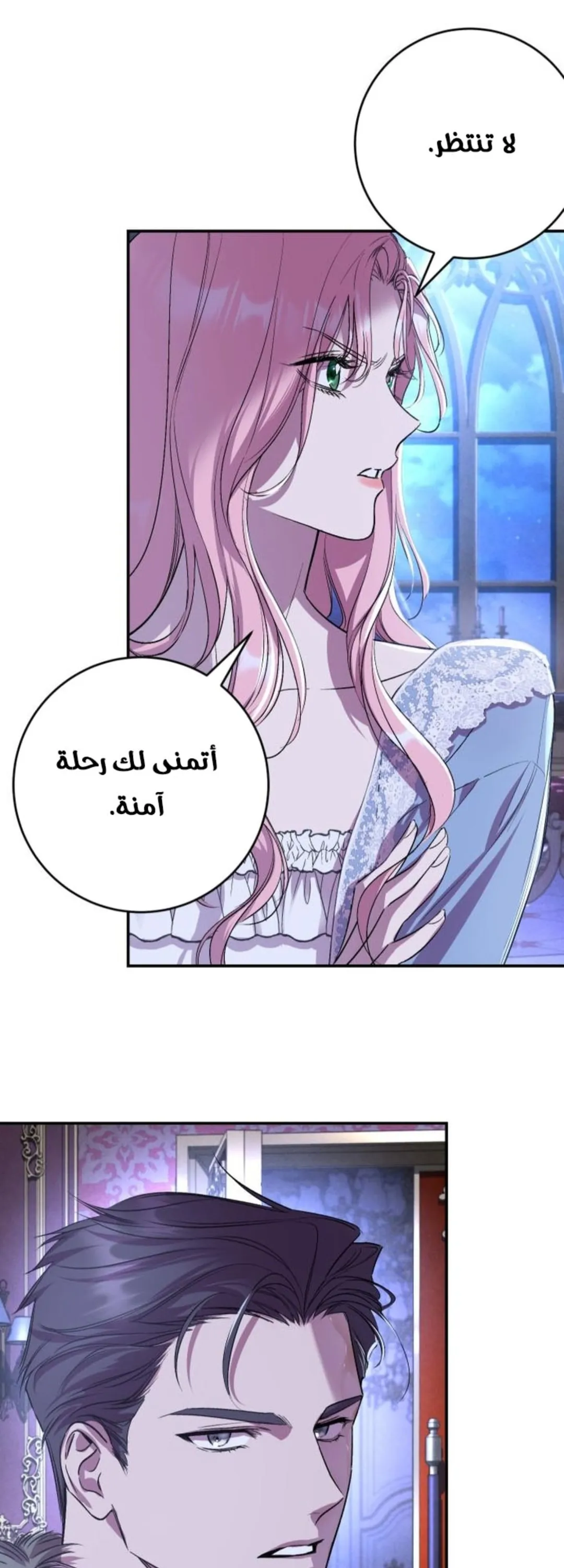 الصفحة 27