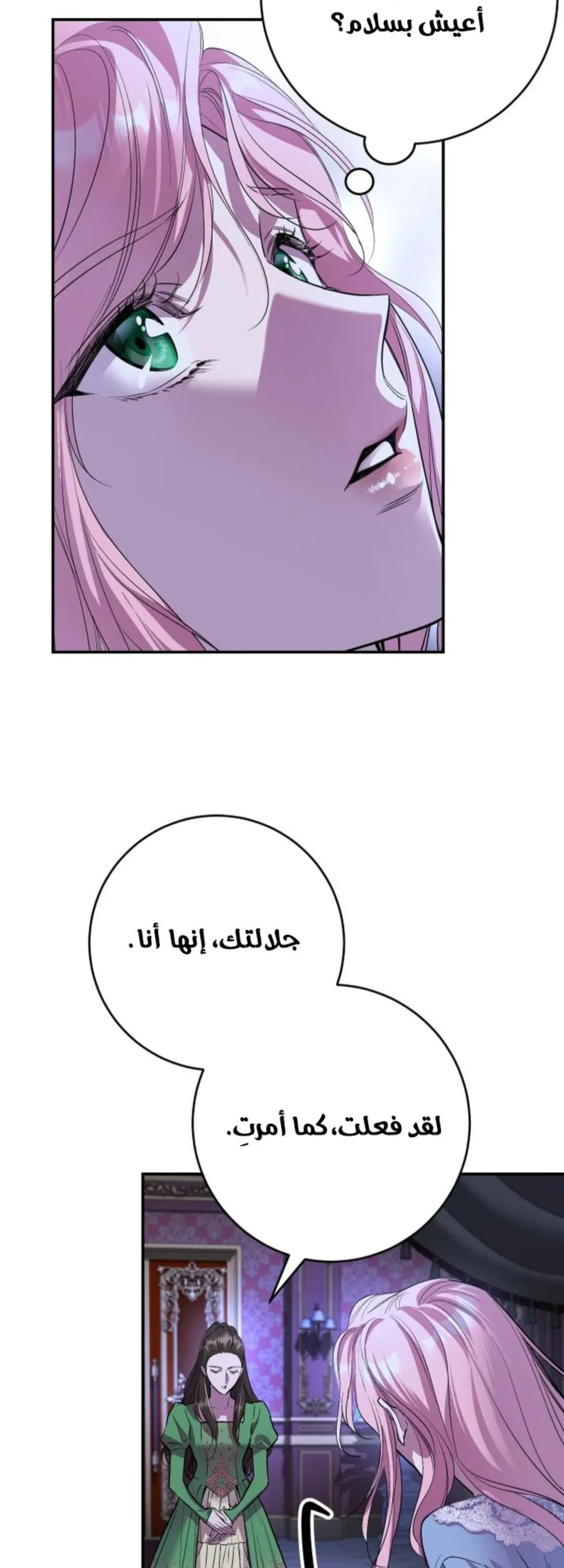 الصفحة 48